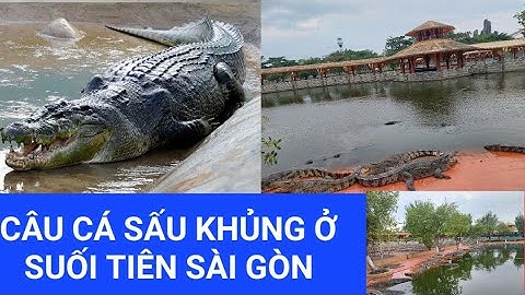 THAM QUAN HỒ CÁ SẤU KHỦNG NHẤT SÀI GÒN / SUỐI TIÊN TUYỆT ĐẸP / SAIGON VIETNAM