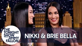 Nikki And Brie Bella Pulled Twin Switches To Help Dump Each Others Boyfriends