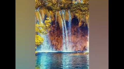 تلاوة ماتعة للشيخ ياسين براكني صلاة الفجر