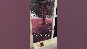 ادريس ابكر تلاوة تقشعر لها الابدان (ارءيت الذي ينهى)