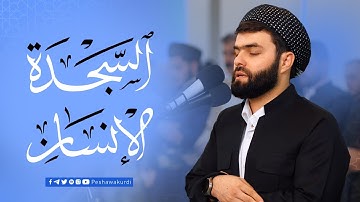 سورة السجدة و الإنسان بصوت القارئ بيشةوا قادر الكردي #رمضان_2024