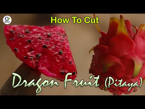 How to cut Dragon Fruit | Pitaya  2021