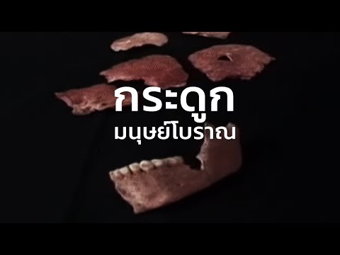 สารคดี สำรวจโลก ตอน ไขปริศนากระดูกมนุษย์โบราณ