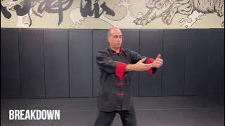 Bak Fu Pai external Qigong (Monk Carries Wine)