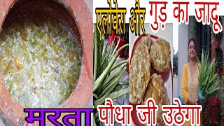 aloe vera (एलो वेरा), गुड़,(jaggery) से बना ऑर्गेनिक फर्टिलाइजर, कीटनाशक #fertilizer #gardening