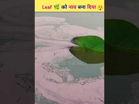 Experiment With Leaf #shorts #facts #viral #trend #ytshorts #experiment #viralvideo