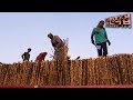 [극한직업/Extreme JOB]  필리핀 사탕수수 농장 제1부