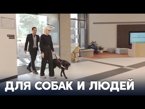 Ультрасовременный центр дрессировки собак-поводырей открыли в Мельбурне