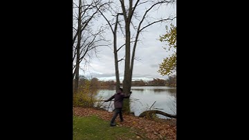 Timber Splash — Enhanced by Grok xAI