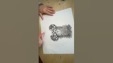 Jeanie Behr scribbles a 🐻bear #zendoodles #zentangle #zentangleart