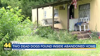 Dead Dogs Found Inside Abandoned Kentucky Home