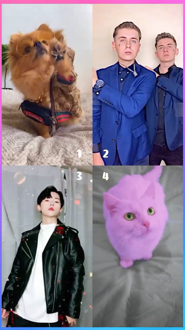 TRY ME ?? Puppy x Twins x Noah x Kitty #shorts #dance #tiktok #cute #funny #trend