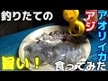 #3 車で釣りの旅！佐賀～東京　日本有数の漁礁地帯に挑む！