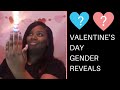 Valentine's Day Gender Reveal Ideas of 2019 Episode #2 / Creative Unique Pregnancy announcements