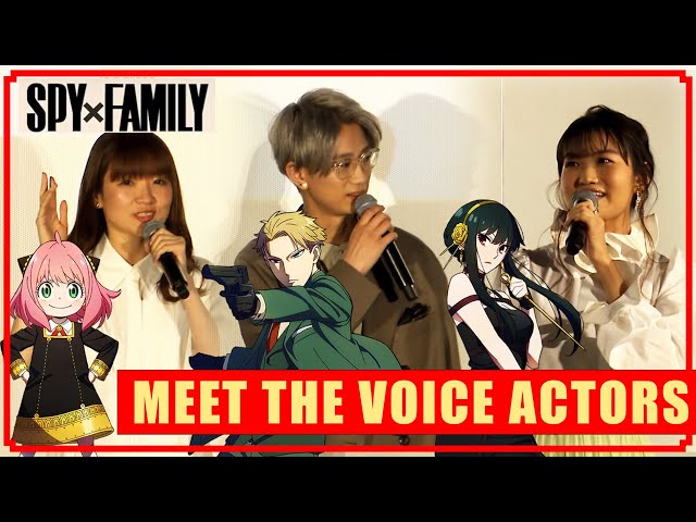 SPY x FAMILY English Dub Cast Interview