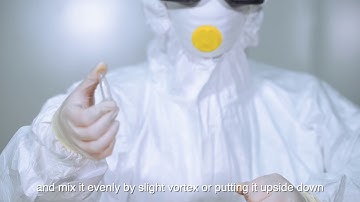 Vazyme Virus DNA /RNA Extraction Kit (Magnetic Beads Based) Operation Flow