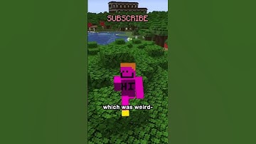 Minecraft Movie Review (no spoilers)