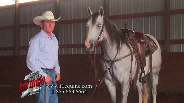 509 PROfile Nancy Hunter