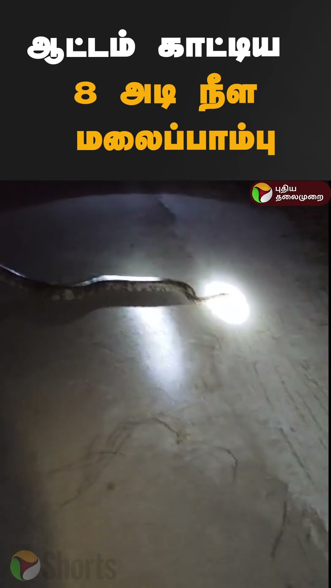 ஆட்டம் காட்டிய 8 அடி நீள மலைப்பாம்பு | #shorts | #python | #snake | #coimbatore