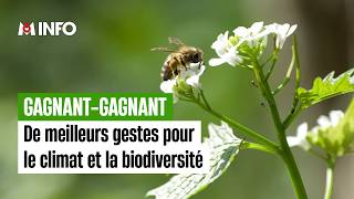 Des actions pour le climat sans oublier la biodiversité