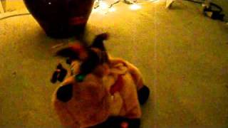 Singing Deer.avi