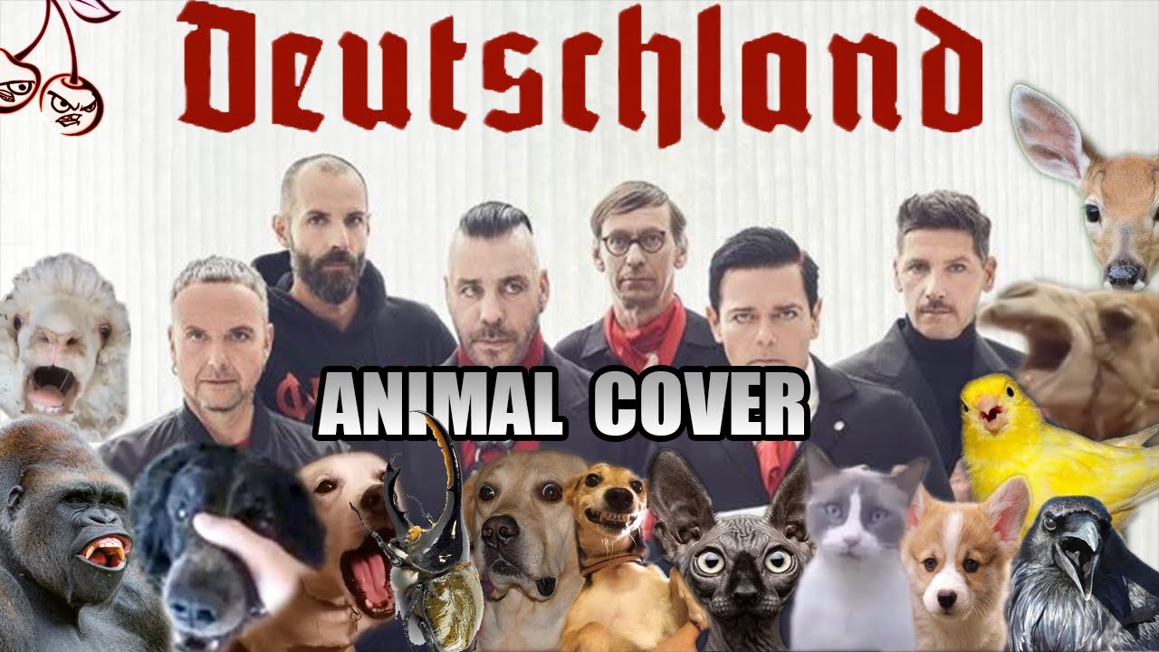 Rammstein - Borkland (Animal Cover)