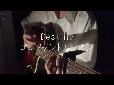 Destiny / エレファントカシマシ - covered by るぴあ【弾き語り】