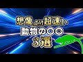 衝撃！想像よりもめっちゃ速い動物の〇〇3選 #shorts