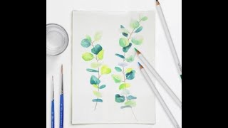 Online Class: Winsor & Newton Water Colour Pencil Botanical Drawing/Painting | Michaels