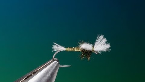 Fly Tying a CDC midge pupa with Barry Ord Clarke