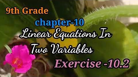 9th chap 10.Linear Equations In Two Variables Ex. 10.2