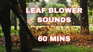 Leaf Blower Sounds on Dark Screen - 60 mins screenshot 5