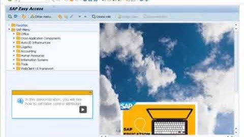SAP ABAP   BC410 Programming User Dialogs with Classical Screens Dynpros part №4