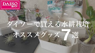 【ダイソーで買える】水耕栽培オススメグッズ7選