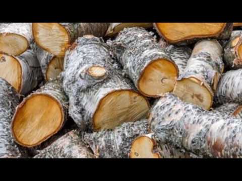 וִידֵאוֹ: עצים להסקה על פי מתכון מוכח בסיר איטי