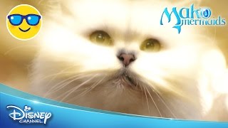 Mako Mermaids Evie Times Two Official Disney Channel Uk