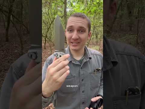 THE VERY LAST MOMENTUM! | Shed Knives