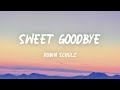 Robin Schulz Sweet Goodbye Lyrics mp3