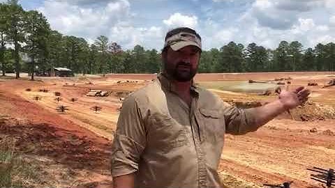 The importance of Bluegill Structure in a pond