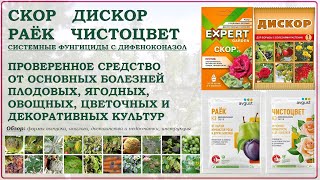 видео: Скор, Раёк, Чистоцвет и Дискор - одно из лучших средств от болезней растений. Обзор 2025 картинка: Скор, Раёк, Чистоцвет и Дискор - одно из лучших средств от болезней растений. Обзор 2025