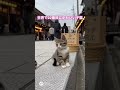 動画制作依頼　ショート動画やりたい企業様ソートライにご相談ください　福岡ショート動画制作　縦型ショート動画　福岡県中小企業振興センター　福岡商工会議所　会員　ふくおか経済　掲載企業　動画スタジオ