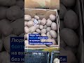 "Одразу згадуємо про Бога": як у Слов’янську на Донеччині живуть цивільні