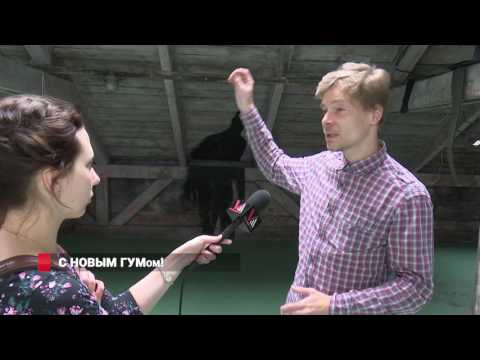 На чердак Владивостокского