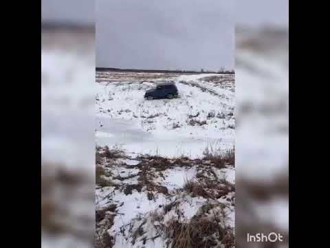Нива что это поле