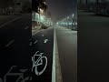Quiet night at the boardwalk #foggynight #marinadelrey #cycling #shorts