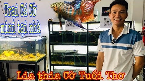 Xem trại Cá Cờ tại nhà của chàng trai 8x - Thái Salem vê lốc