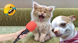 Try Not To Laugh😹🐕Funniest Cats and Dogs 2024😺Part 7