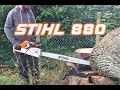 Stihl 880 in big oak