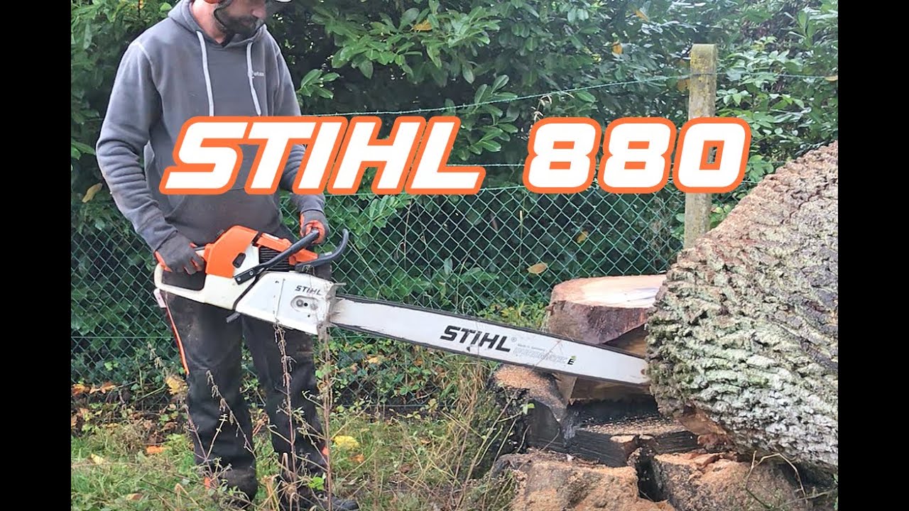 Stihl 880 in big oak - YouTube