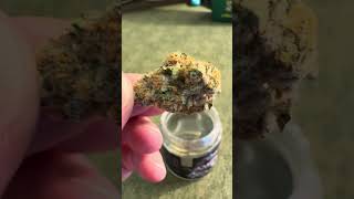 TERPY TIME TASTE BUDS -NEW DROP !!!! - CONNECTED - AMBROZIA @connectedcannabis #2025 #new #bayarea